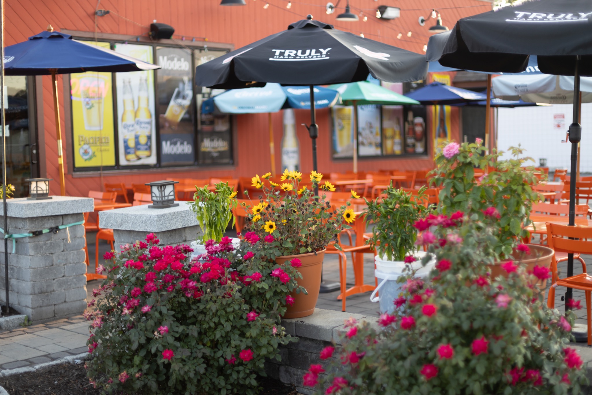 Nuevo Vallarta patio with orange chairs, umbrellas and flowering plants